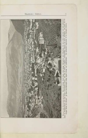 7. Bozen von Nordosten gesehen