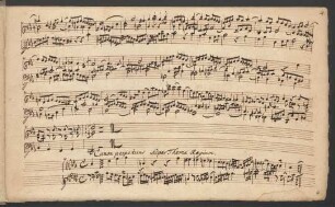 Canon perpetuus Super Thema Regium