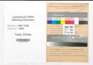 Entnazifizierung Elfriede Twele , geb. 11.03.1913 (Kindergaertnerin)