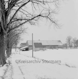Frauenholz: links Baumreihe: hinten Wirtschaftsgebäude des Gutes: davor Siedlungshaus: Winter