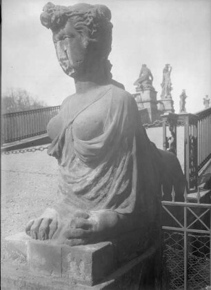 Sphinx