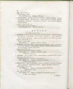 Aptera.