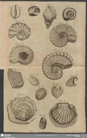 [Fig. 15 - Fig. 26]