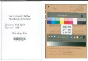 Entnazifizierung Karl Strickling , geb. 23.01.1901 (Klempner)