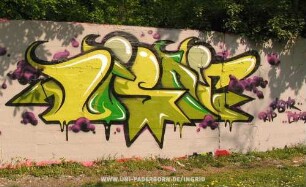 DiSn'r