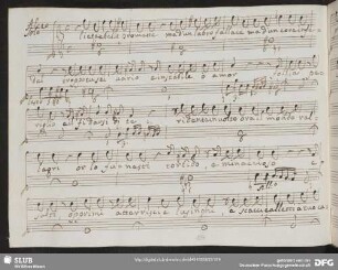 Recitativo: Liete e belle promette