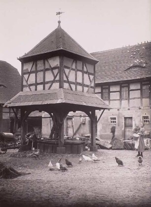 Frohburg-Frauendorf Nummer 48. Hof Sparbat. Taubenhaus mit Wetterfahne (1841) über Brunnen
