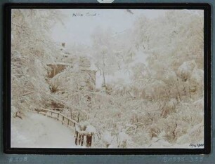 Die Villa Cosel im Plauenschen Grund im Winter