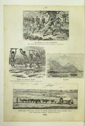 Afrikanische Reisewagen des Dr. G. Fritsch (daneben sein photographisches Zelt)