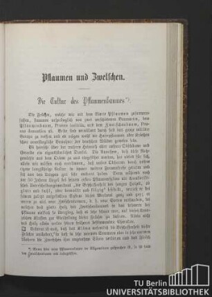 Pflaumen und Zwetschen.