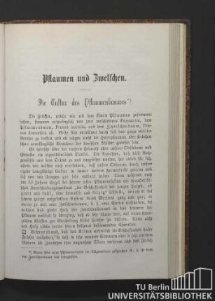 Pflaumen und Zwetschen.