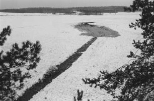 Winterlandschaft bei Ottendorf-Okrilla