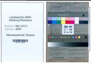 Entnazifizierung Richard Hammerschmidt , geb. 22.07.1916 (Blechschlosser)