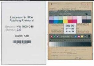 Entnazifizierung Karl Bluem , geb. 03.06.1898 (Fabrikant)