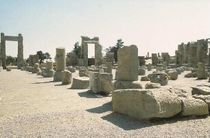 Persepolis. Säulen und Mauerreste