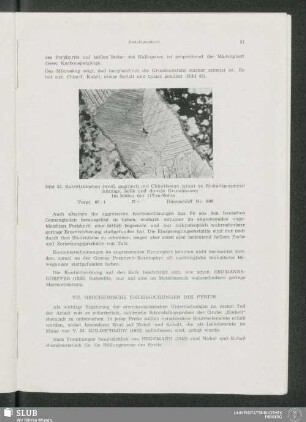 VII. Geochemische Untersuchungen Des Pyrits