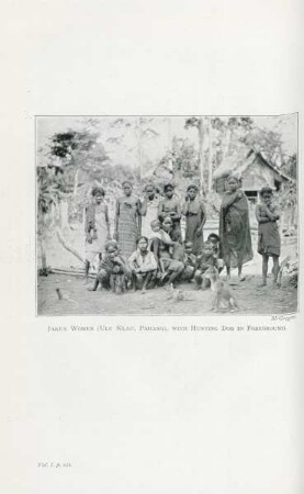 Jakun women (Ulu Klau, Pahang) with hunting dog in foreground