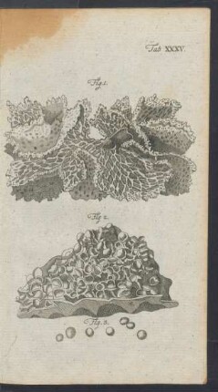 Tafel XXXV.