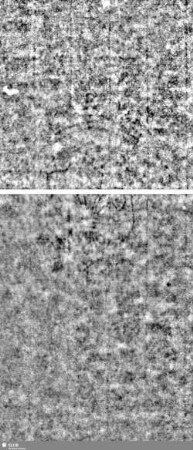 Lilienschild + IESV / LW = S.3/4+7/8