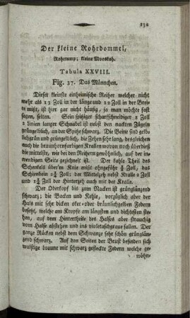 Der kleine Rohrdommel,