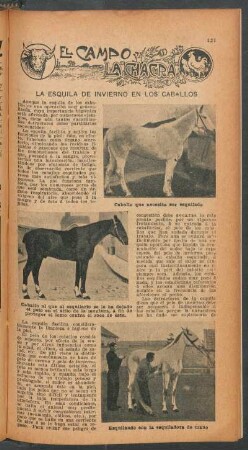 La esquila de invierno en los caballos