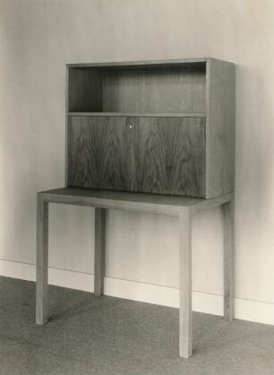 Moderne Möbel. Damenschreibschrank (zusammengesetzt). Rüster