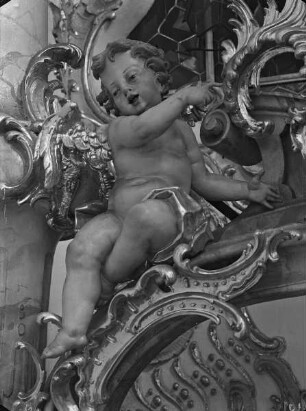 Putto auf Rocailleornament