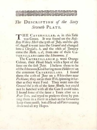 The Description of the Sixty Seventh Plate