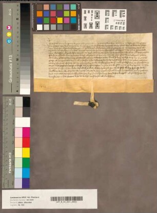 Revers des Knappen Gyse von Toerne, betreffend die Wittumsverschreibung für Herzogin Maria von Jülich- Geldern.