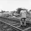 Bahnunfall: Eisenbahnstrecke zwischen Bad Oldesloe und Neumünster: Kollision von Personenzug mit Pkw an Bahnübergang Seefeld: zerfetzter mitgeschleifter Pkw an Böschung des Bahndamms: davor Gleis: rechts Feuerwehrmann: hinten Büsche und Wiesen