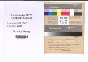 Entnazifizierung Georg Schmidt , geb. 21.06.1899 (Volkswirt)