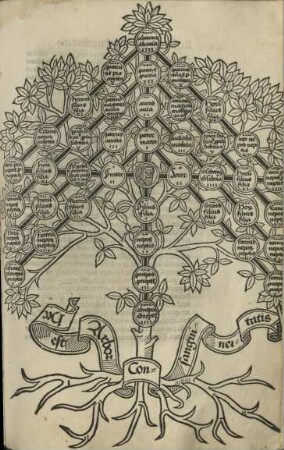 Baum der Blutsverwandschaft (Arbor consanguinitatis)