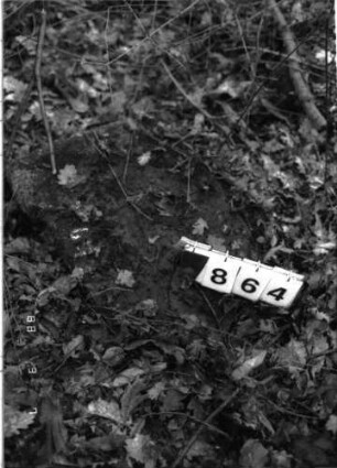 Grabstein 864
