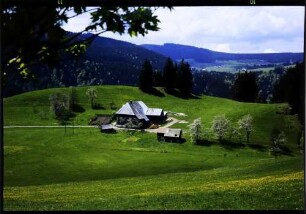Breitnau: Schwarzwaldhof, von oben