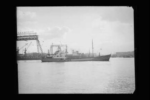 Josef Joham (1959), VTG, Hamburg