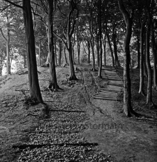 Hoisbüttel: Schüberg [auch: Schübarg]: Naherholungsgebiet: rechts Wanderweg im Wald mit Holzbohlen