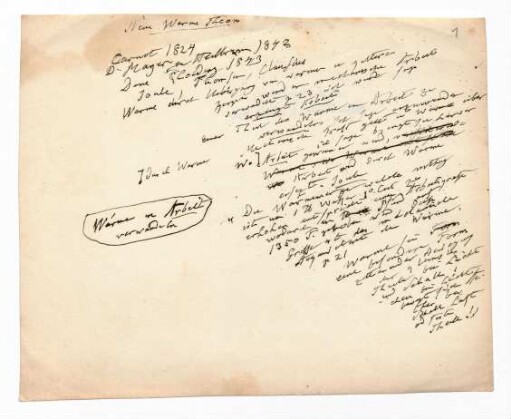 Notizen zur Geologie, Botanik und Ozeanographie sowie Zeitungsausschnitte und Publikationsfragmente / Humboldt, Alexander