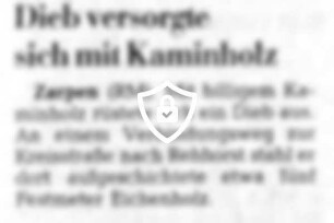 Dieb versorgte sich mit Kaminholz