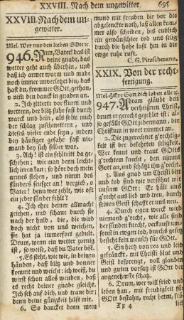 XXVIII. Nach dem un-gewitter
