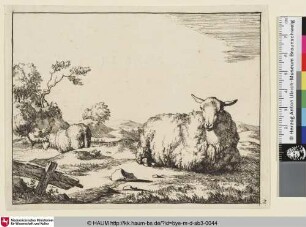 [Un mouton couché, vu presque de face, ayant le corps dirigé un peu vers la droite; Liegendes Schaf dem Betrachter zugewandt und trinkendes Schaf an einem Gewässer links im Hintergrund]