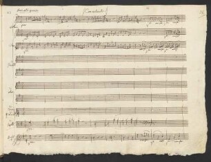 Concertante. Andante grazioso