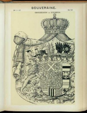 Taf. 80. Grossherzog von Luxemburg.