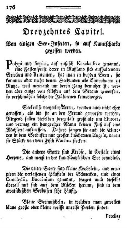 Dreyzehntes Capitel. Von einigen See-Insecten, so auf Kamtschatka gegessen werden