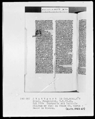 Lateinische Taschenbibel — Initiale S (alvum me fac), darin David im Wasser, Folio 212verso