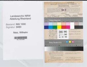 Entnazifizierung Wilhelm Nies, geb. 05.08.1904 (Verw.Beamter)