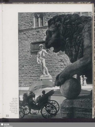Vor dem Palazzo Vecchio in Florenz. Links der David von Michelangelo, rechts ein Löwe von der Loggia dei Lanzi