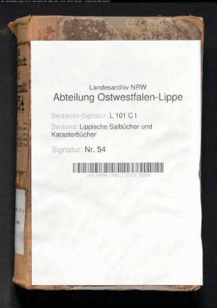 Salbuch der ehem. Vogtei Detmold von 1854, Bd. 3