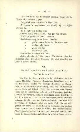 Die Bohrmuscheln am Eselsberg bei Ulm (O. Fraas)