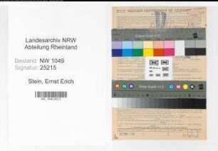 Entnazifizierung Ernst Erich Stein , geb. 19.07.1909 (Ingenieur)