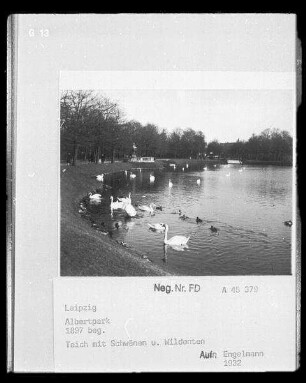 Albertpark